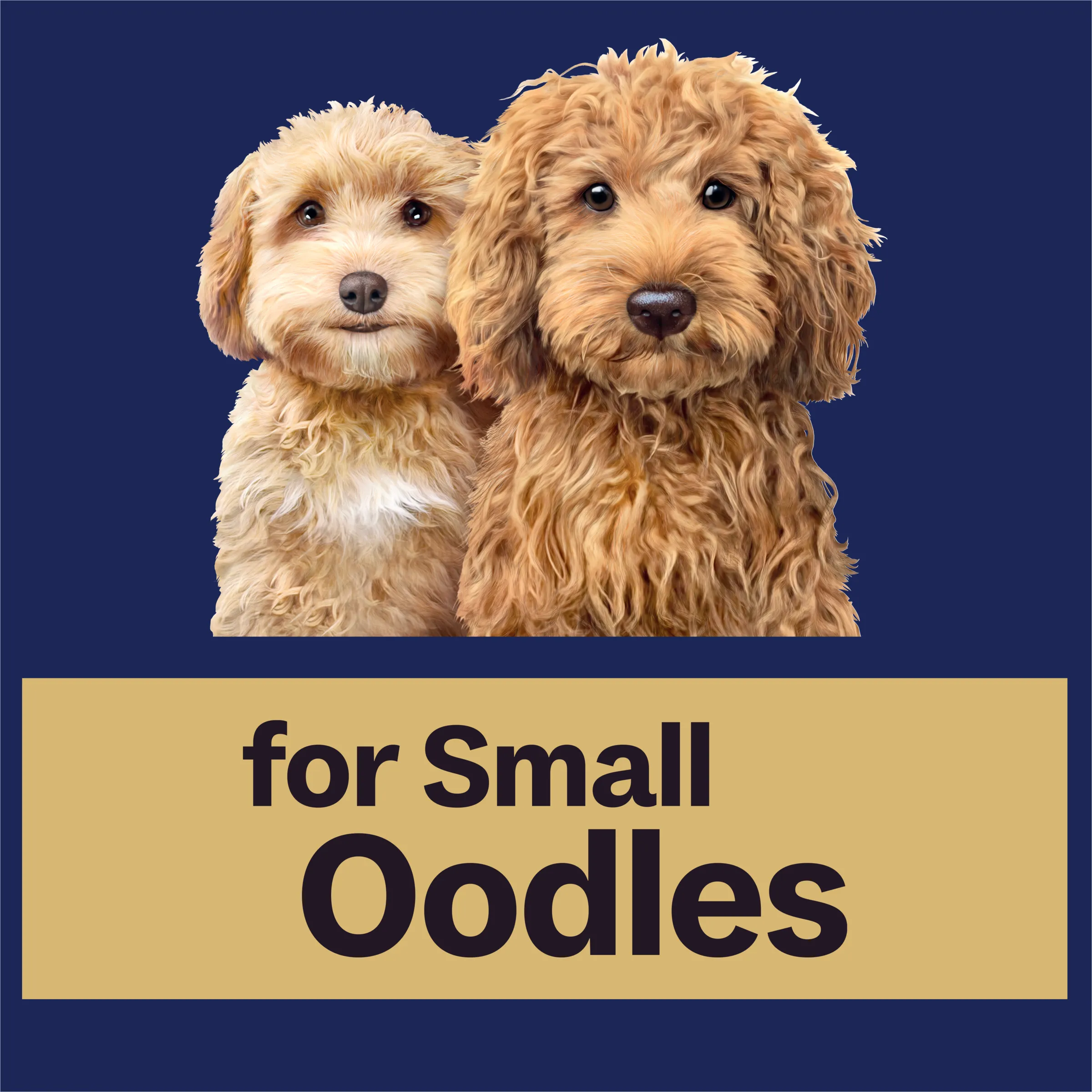 Advance Oodles Small Breed Adult Dry Dog Food