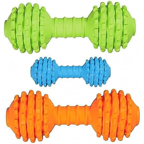 JW Pet Chompion Rubber Dog Toy