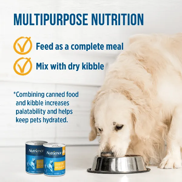 Nutrience Original Chicken Pate Canned Dog Food