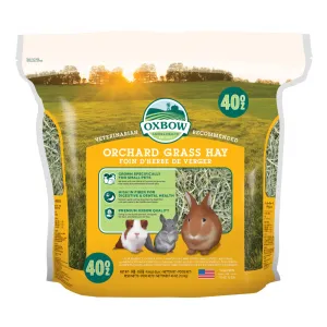 Oxbow Animal Health Orchard All Natural Grass Hay for Chinchillas Rabbits Guinea Pigs Hamsters & Gerbils