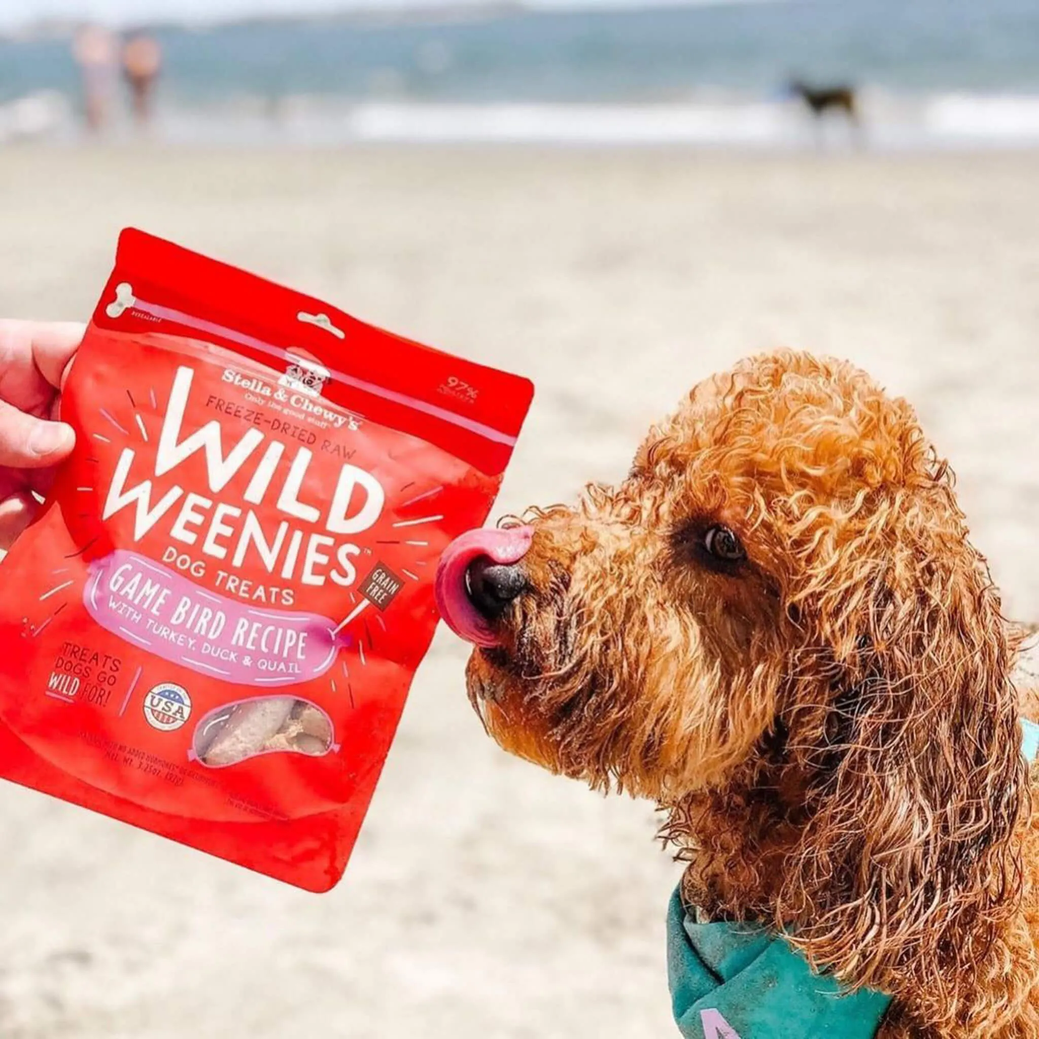 Stella & Chewy's Wild Weenies Raw Freeze-Dried Dog Treats