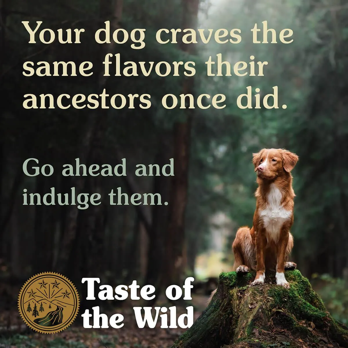 Taste of the Wild Wetlands Wild Fowl Dry Dog Food